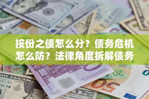 武汉按份之债怎么分？债务危机怎么防？法律角度拆解债务分配与风险自保指南
