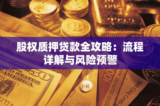 武汉股权质押贷款全攻略：流程详解与风险预警