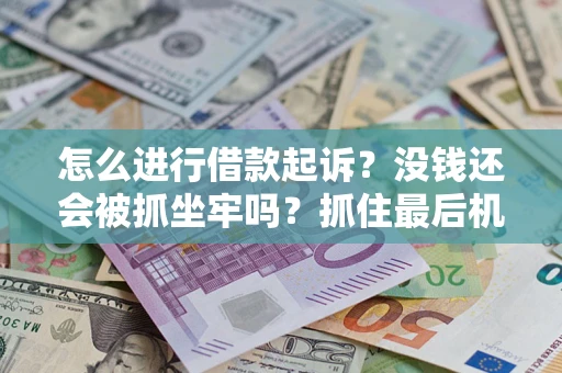 武汉怎么进行借款起诉？没钱还会被抓坐牢吗？抓住最后机会！