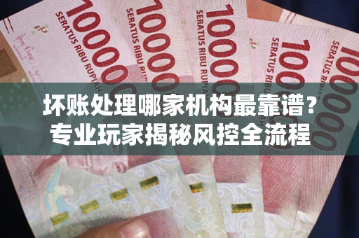 武汉坏账处理哪家机构最靠谱？专业玩家揭秘风控全流程