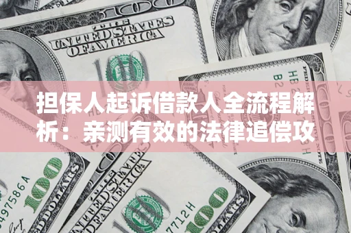 武汉担保人起诉借款人全流程解析：亲测有效的法律追偿攻略