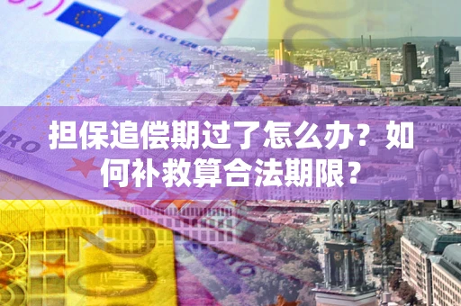 武汉担保追偿期过了怎么办？如何补救算合法期限？