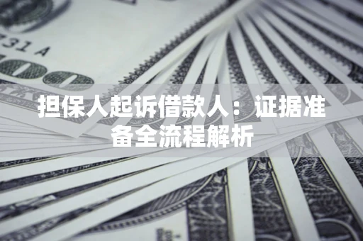 武汉担保人起诉借款人：证据准备全流程解析