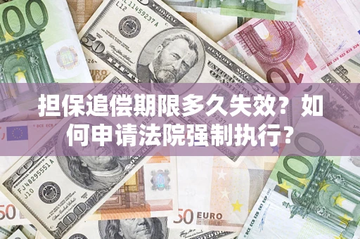 武汉担保追偿期限多久失效？如何申请法院强制执行？