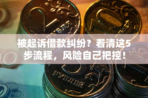 武汉被起诉借款纠纷？看清这5步流程，风险自己把控！