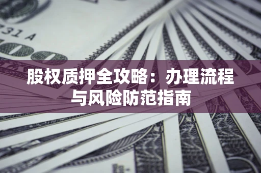 武汉股权质押全攻略：办理流程与风险防范指南