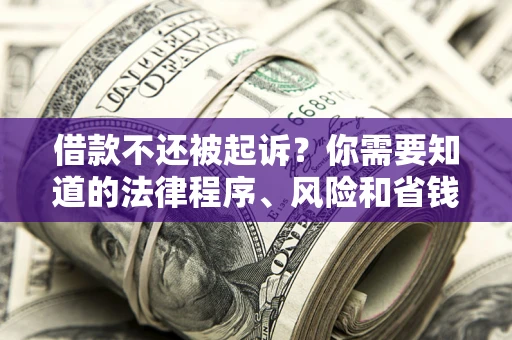 武汉借款不还被起诉？你需要知道的法律程序、风险和省钱技巧